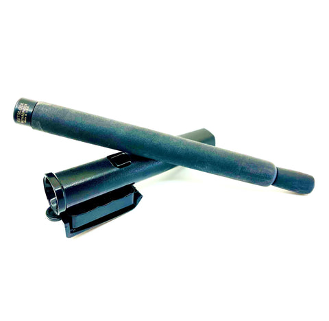 BSIS Baton Training Course